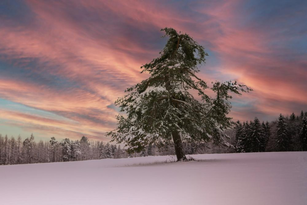Computer Entsorgung Hagen